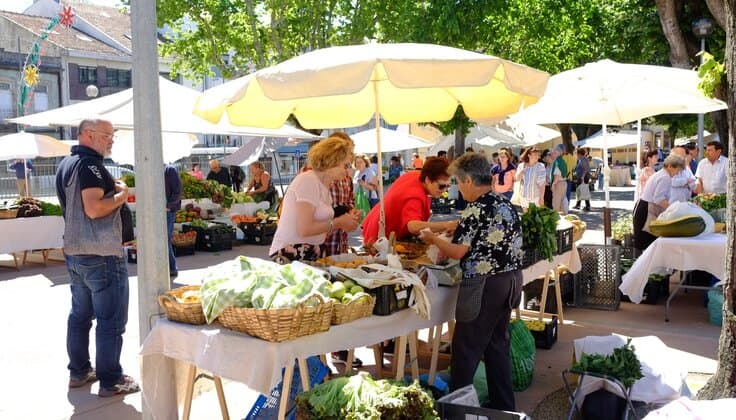 Mercado Rural