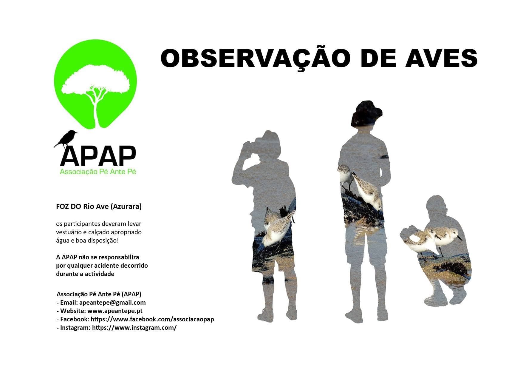 Observação de Aves