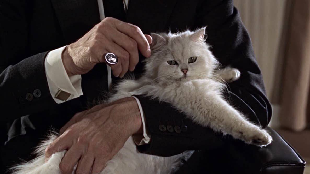 Last Movies, de Stanley Schtinter