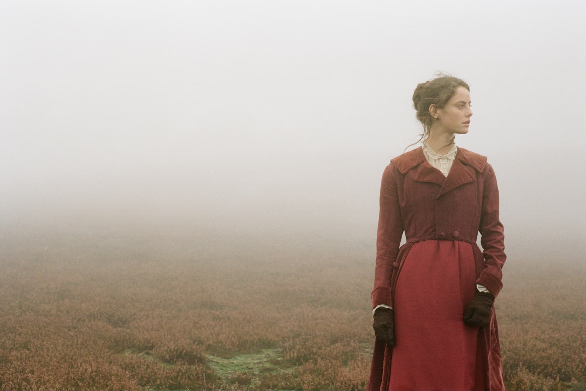 Dog + Wuthering Heights