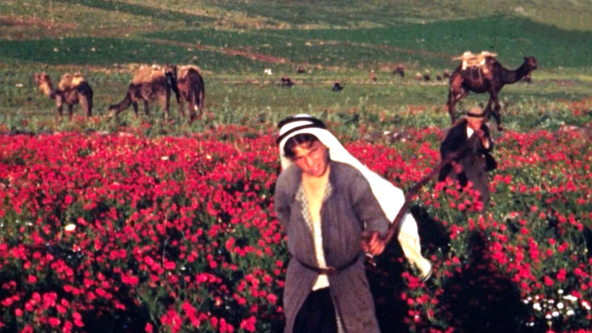 The Flowers Stand Silently, Witnessing, de Theo Panagopoulo + Foragers, de Jumana Manna