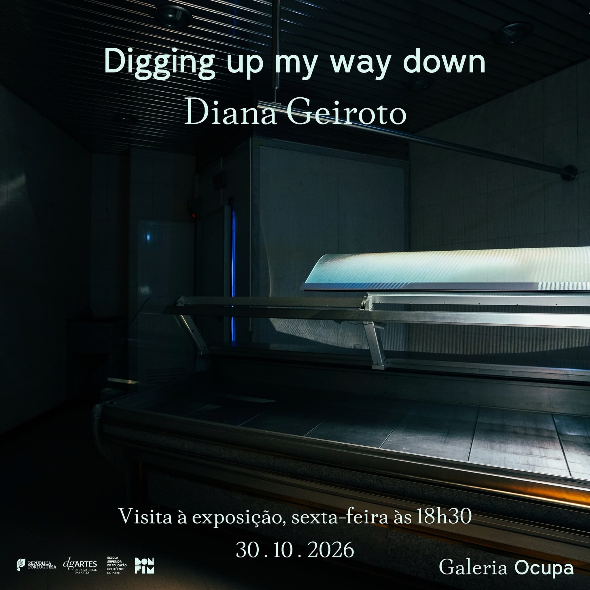 Digging up my way down, de Diana Geiroto