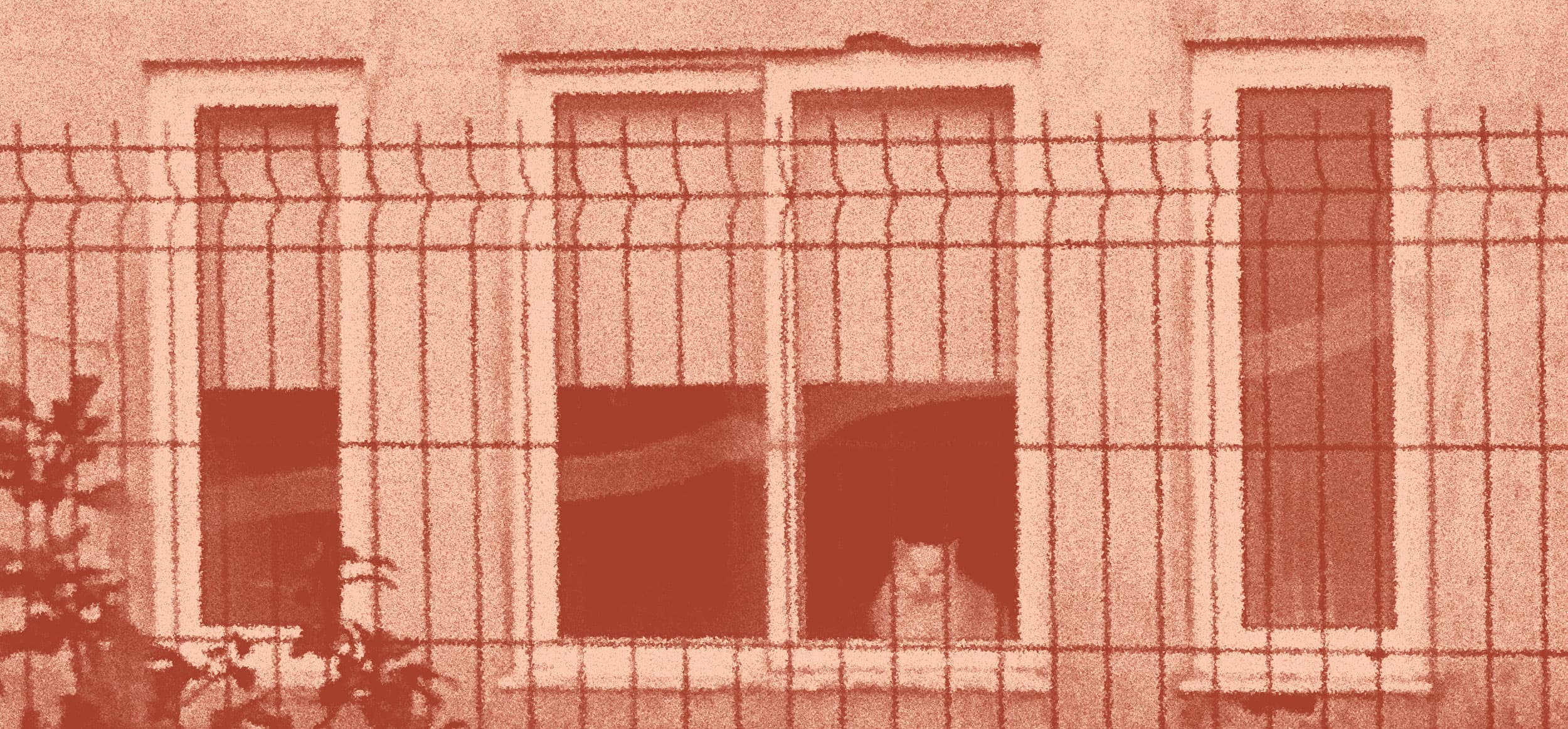 Vizinhos, de Sara Felgueiras