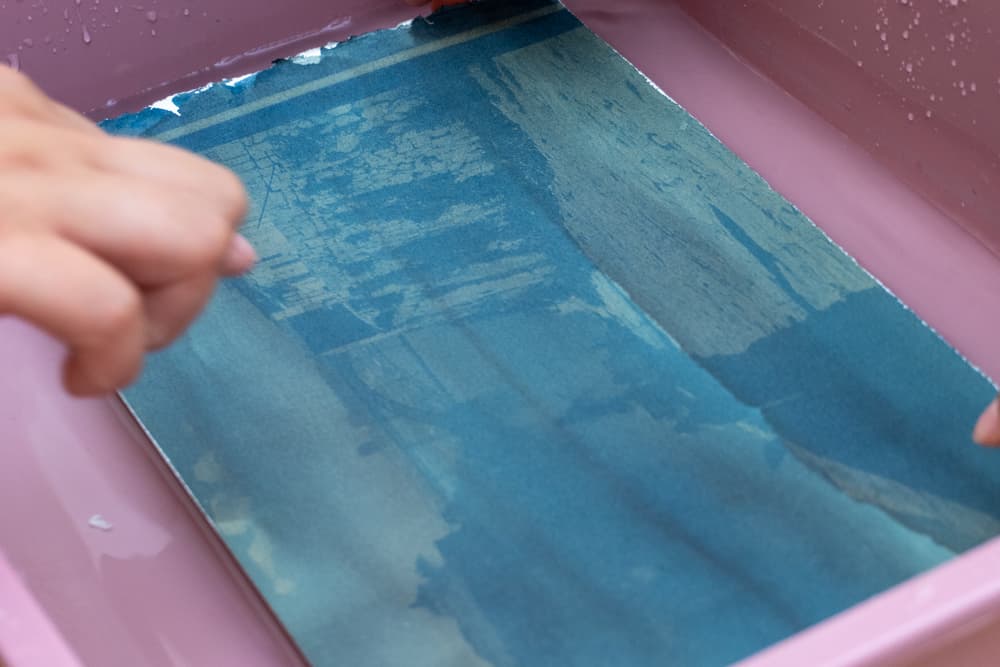 Linogravura