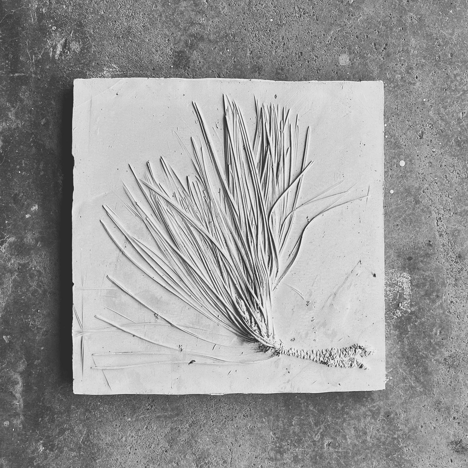 Impressões: Baixo-Relevo em Gesso