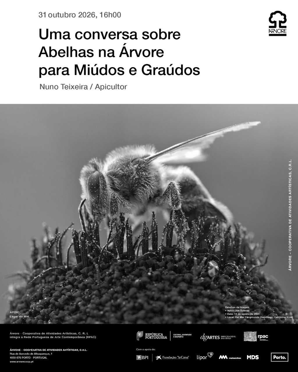 Uma Conversa sobre Abelhas na Árvore para Miúdos e Graúdos