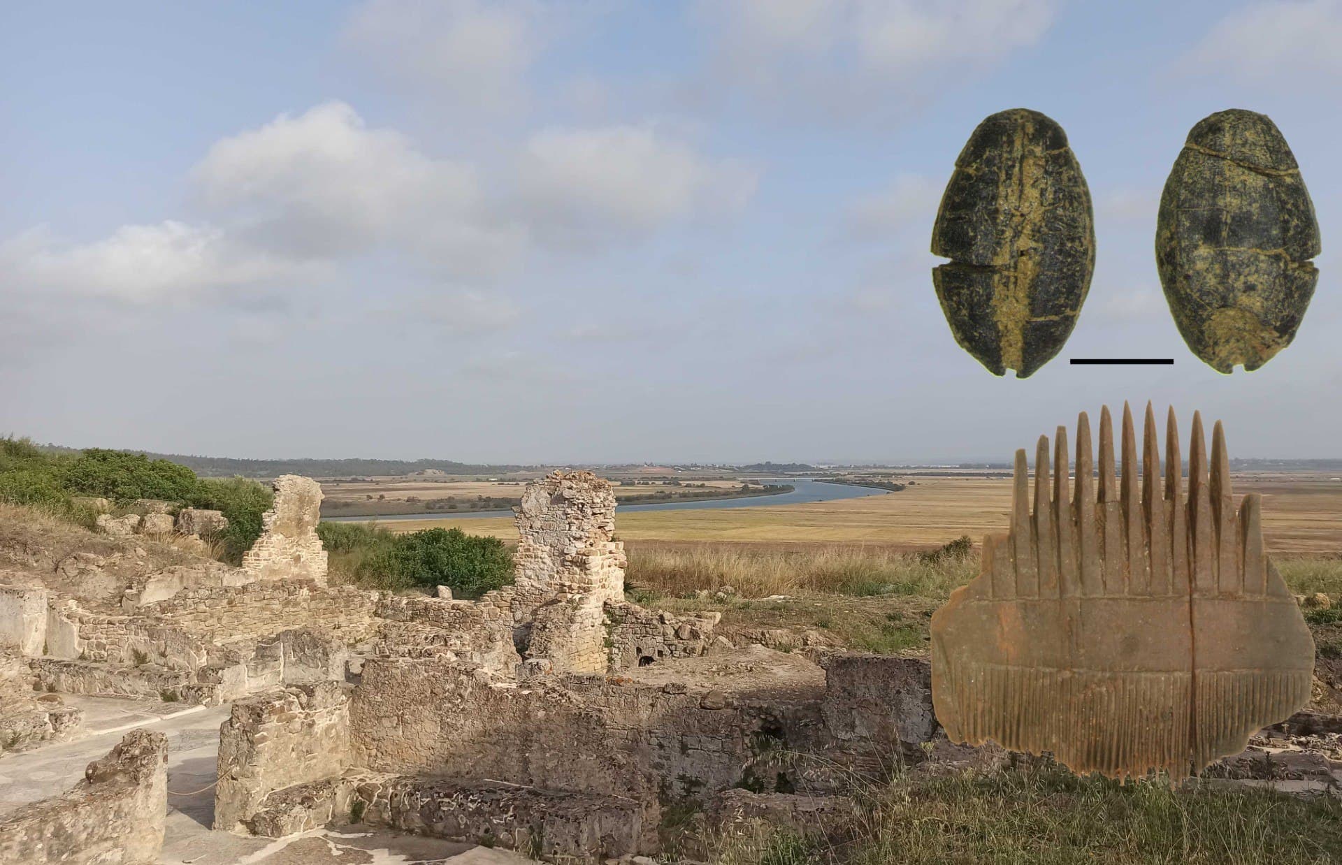 Arqueociências #1: Plantas do Passado — Como a Arqueobotânica nos Revela a História Humana