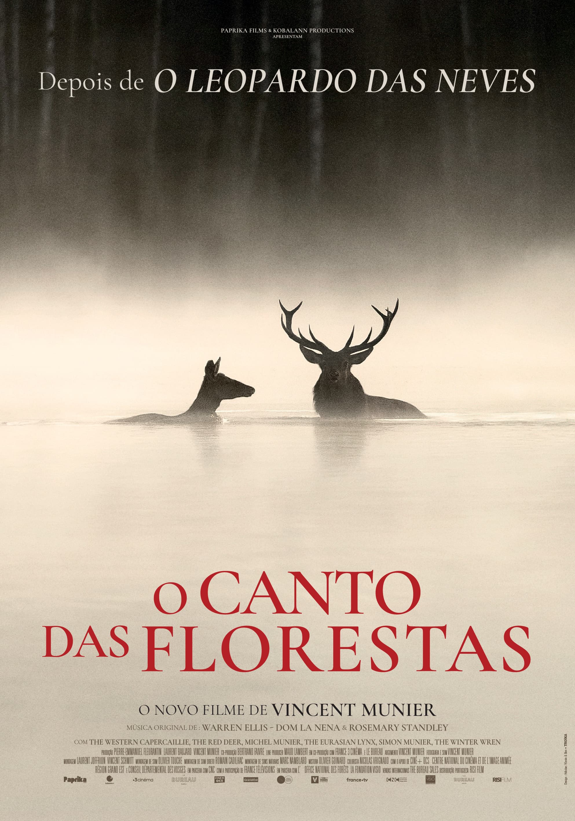 O Canto das Florestas, de Vincent Munier