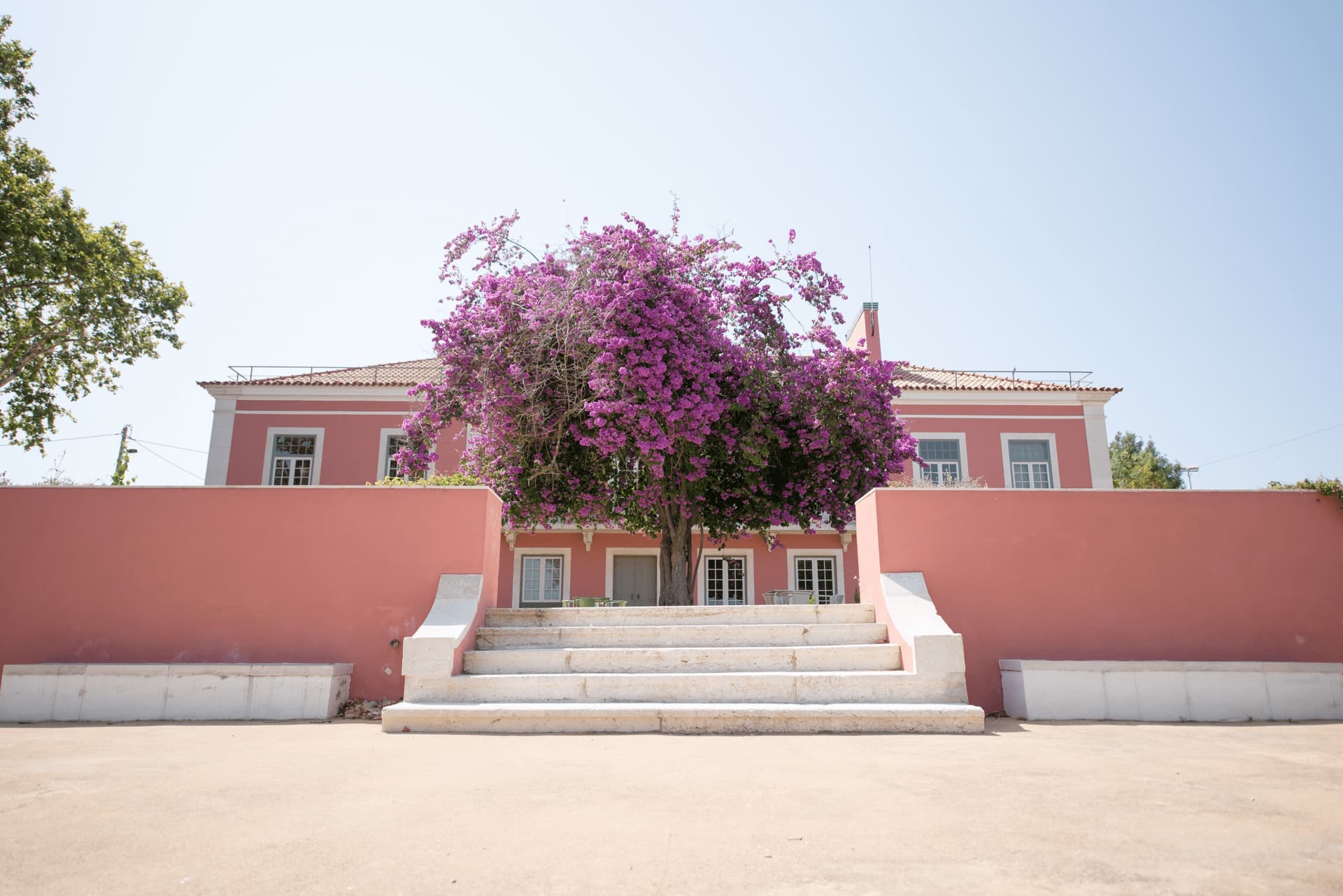 Visitas à Quinta Alegre