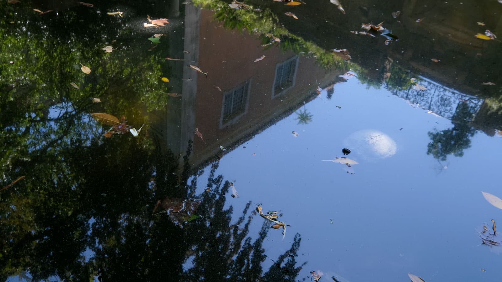 Raid Fotográfico – Do Parque Monteiro-Mor à Quinta Alegre