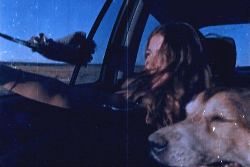 Traça – Mostra de Filmes de Família