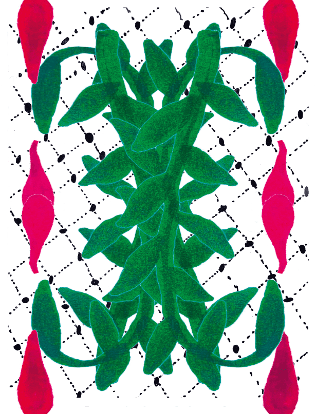 Arte pela Palestina - Casa do Comum