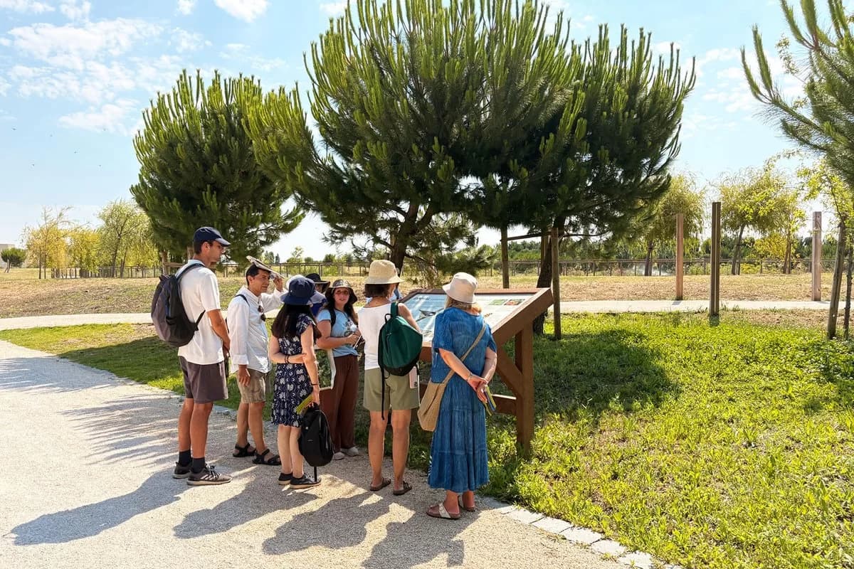 À Descoberta do Parque Verde de Carnide
