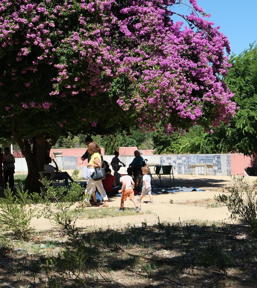 O Domingo é na Quinta