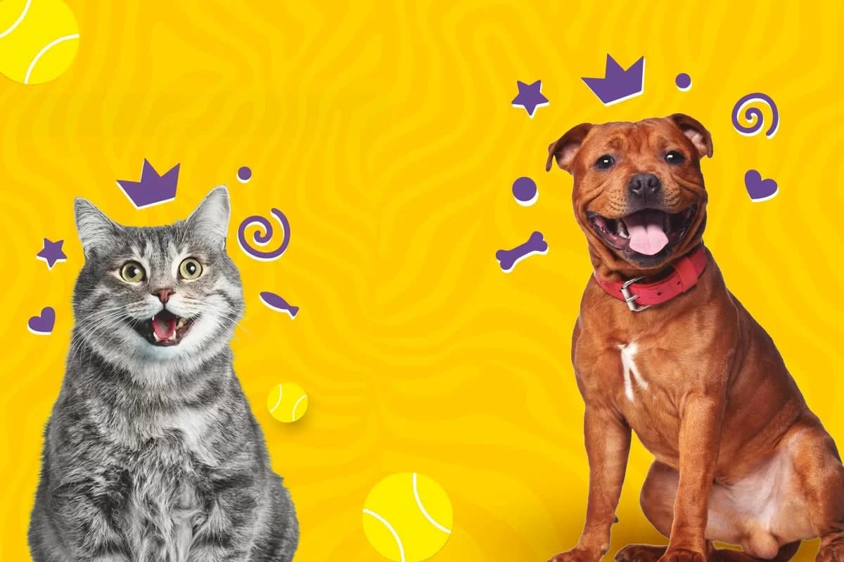 Dia Mundial do Animal