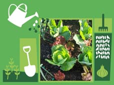 Ciclo de workshops: Vamos à Horta?