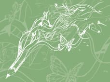 Arte com Assento | Percursos Arte e Natureza