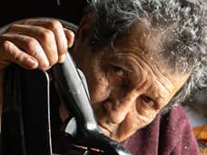 Exposição fotográfica "Haja Flores"