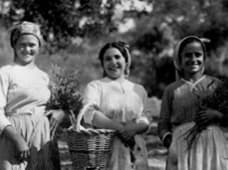 Mulheres da Terra, saberes e memória