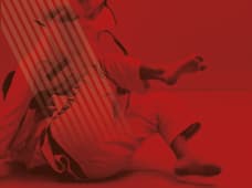 20.º Festival de Artes Marciais