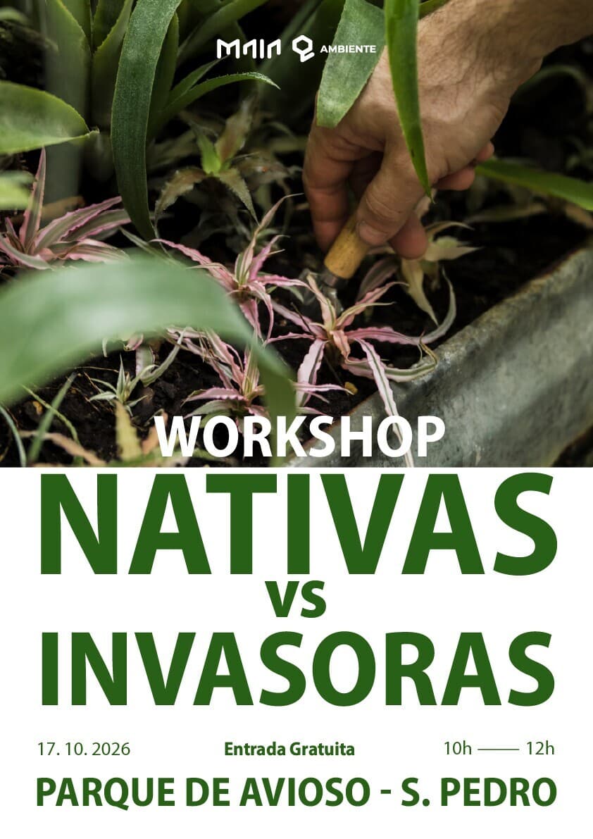 Ciclo de Oficinas sobre Biodiversidade no Parque de Avioso – S. Pedro