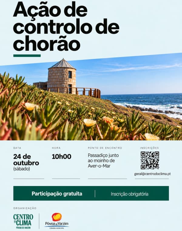 Ação de controlo de chorão