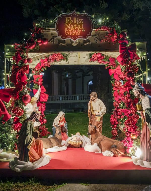 Póvoa de Varzim, Cidade Natal