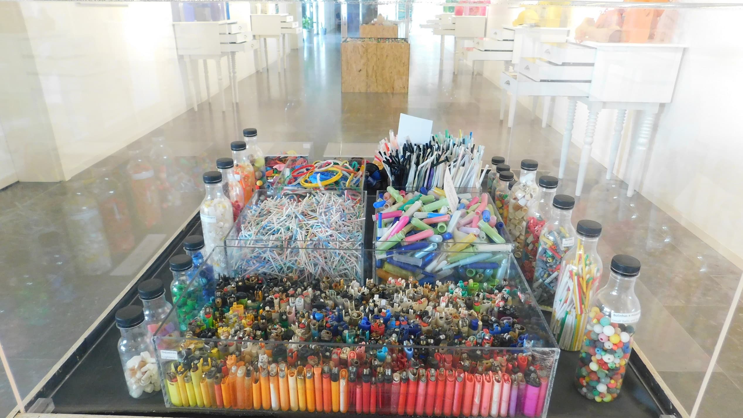 Inauguração da Exposição Plasticus Maritimus - uma espécie invasora